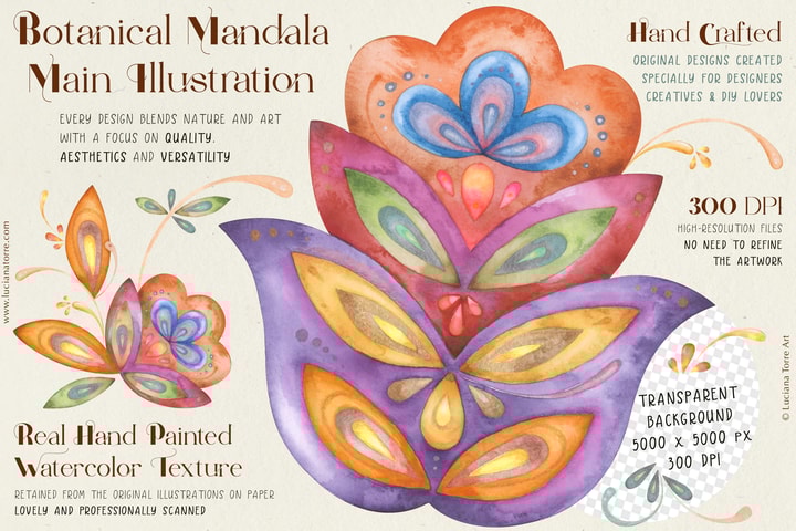 Flowers illustrations, Botanical clip art, Floral pattern design for selling POD products